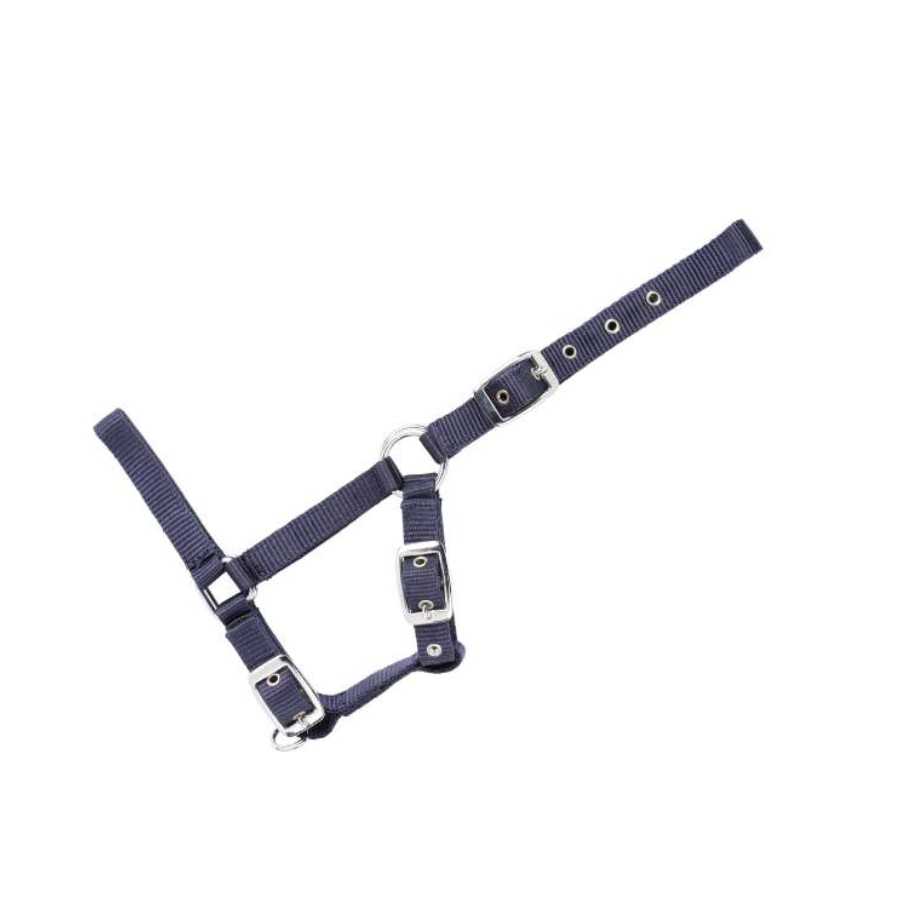 Cabresto azul escuro em nylon com fivelas metálicas sobre fundo branco