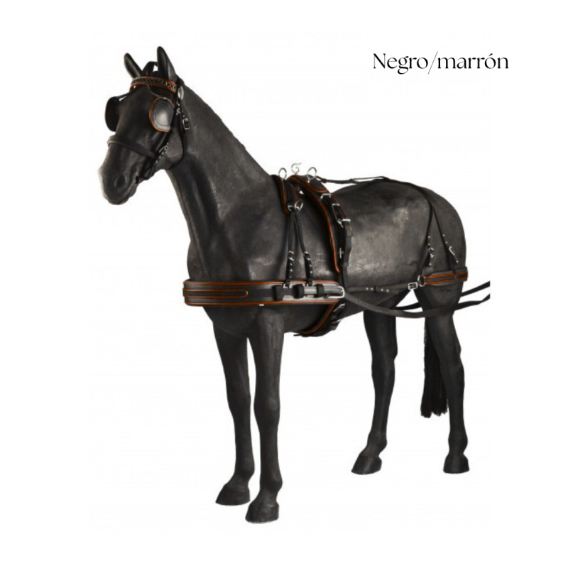 Cavalo preto com arreio preto e detalhes marrons