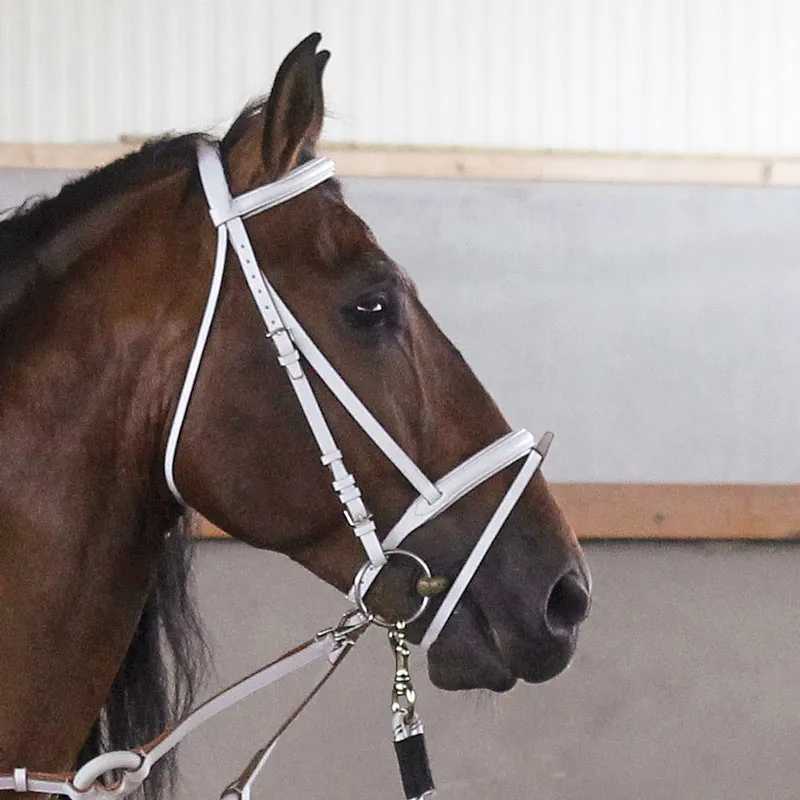 Cavalo castanho com cabresto branco numa arena