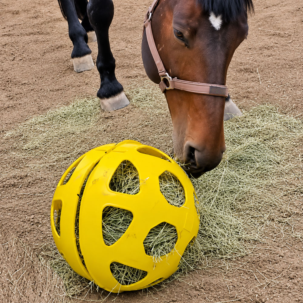 Bola de feno amarela com cavalo castanho a comer feno no chão de terra.