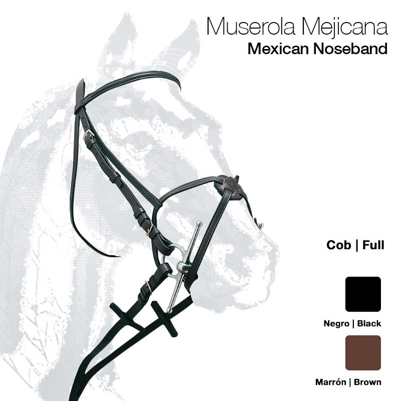 Muserola mejicana em couro preto sobre fundo branco com desenho de cavalo