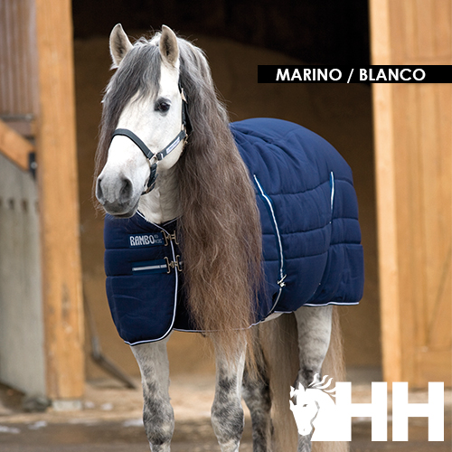 Cavalo vestido com manta azul-marinho e branco dentro de estábulo de madeira.