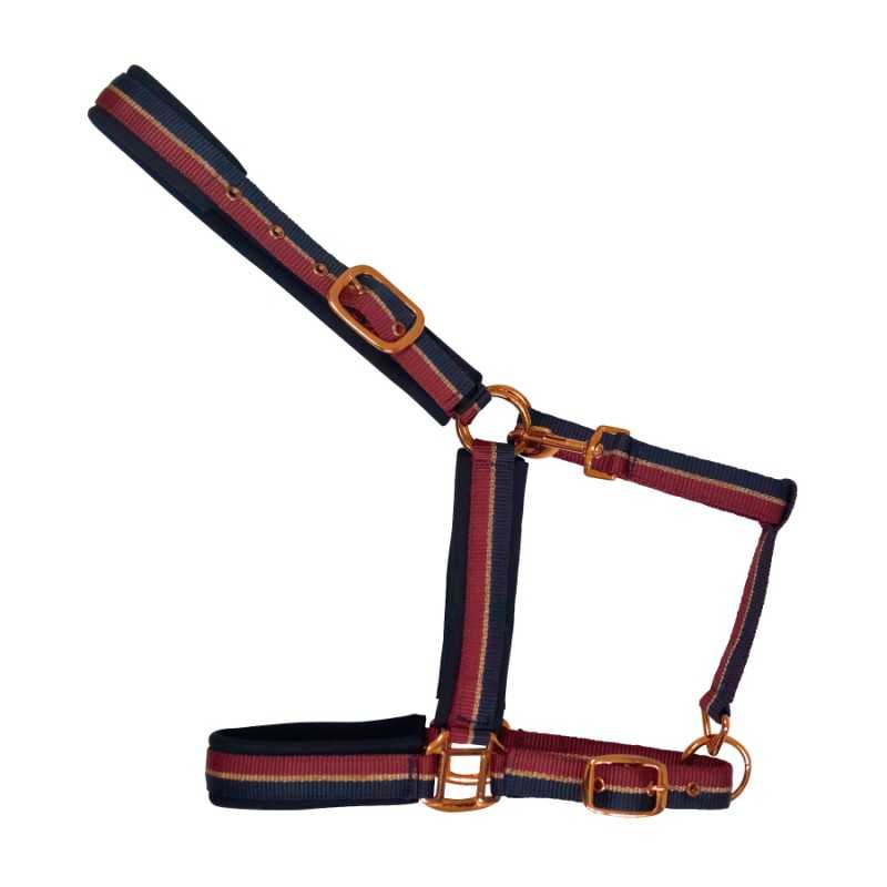 Cabresto têxtil para cavalo com riscas azul, vermelho e bege e fivelas douradas.