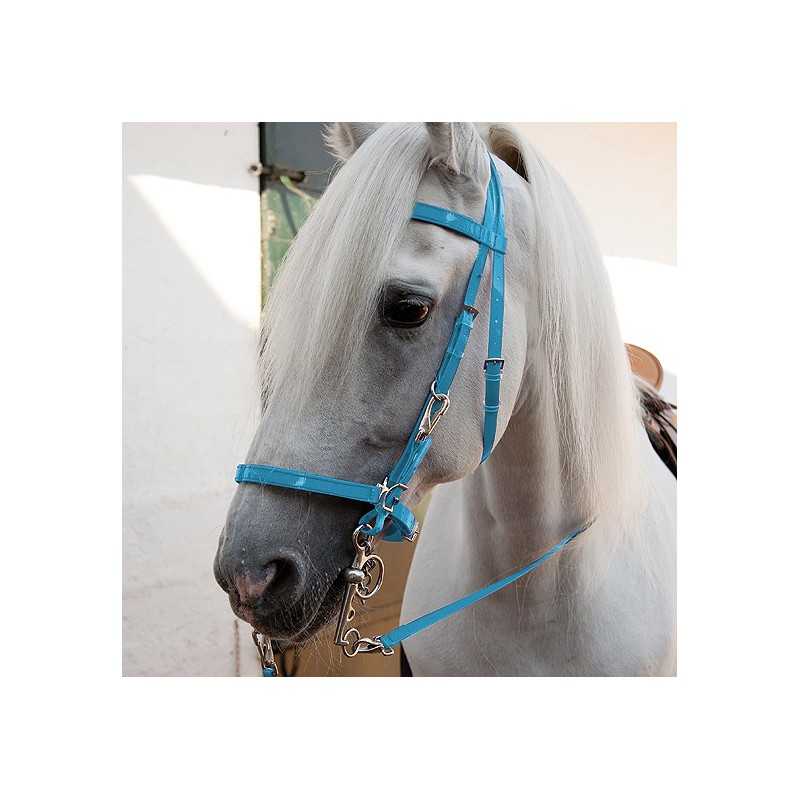 Cavalo branco com cabresta azul no estábulo