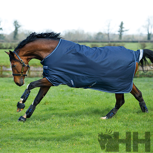 Cavalo com manto azul num campo verde