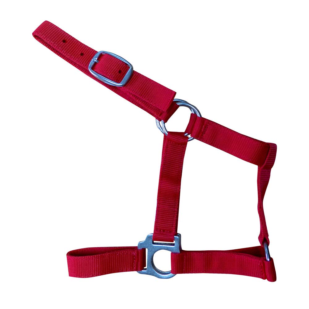 Peitoral para cão vermelho ajustável com fivelas metálicas
