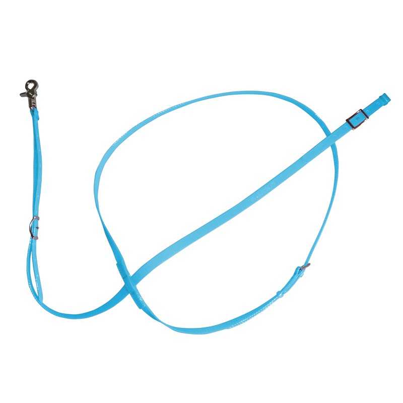 Trela azul clara para animal de estimação com fecho metálico