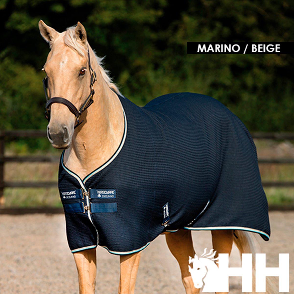 Cavalo com manta azul-marinho/bege em área exterior com vedação