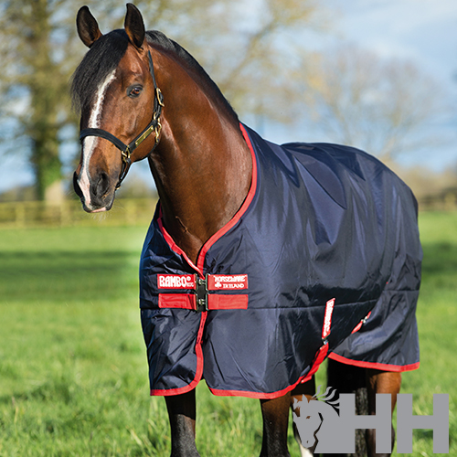 Cavalo com manta preta com bordas vermelhas num campo verde
