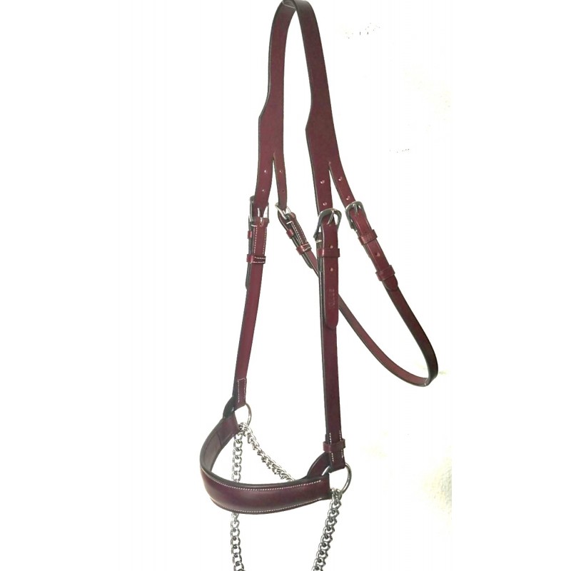 Cabeçada de cavalo em couro castanho com ferragens metálicas prateadas