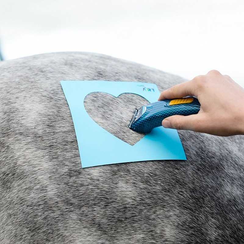 Máquina de cortar pêlo azul a aparar pêlo cinzento claro através de estêncil em forma de coração