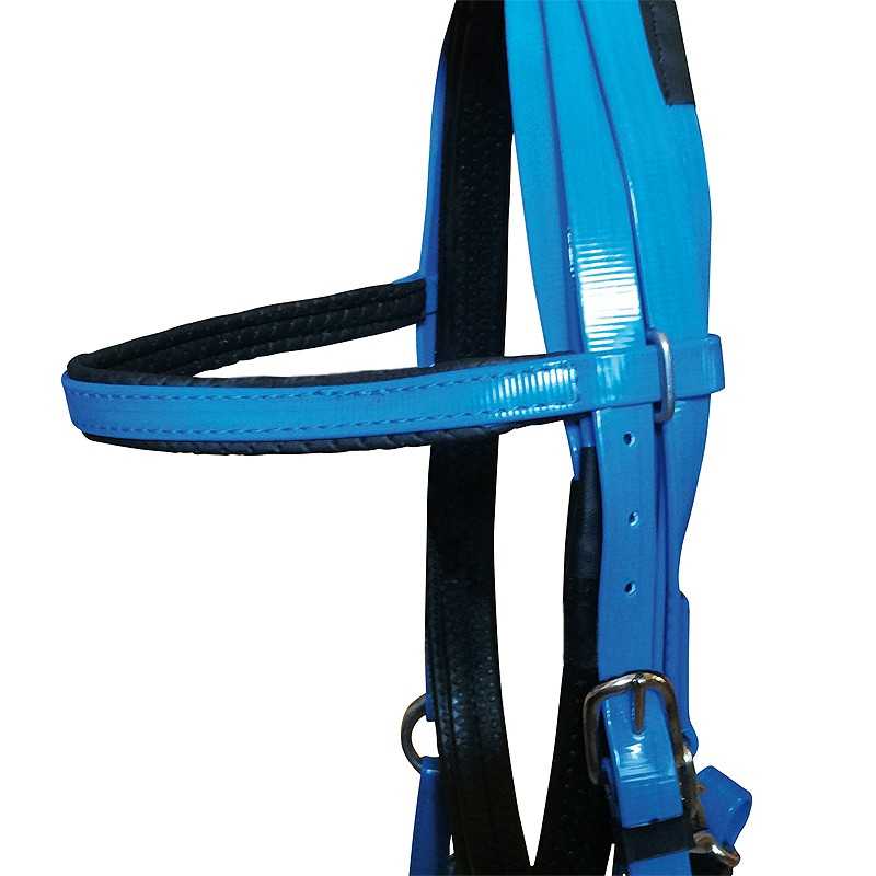Cabeçada azul e preta para cavalo com fivela metálica