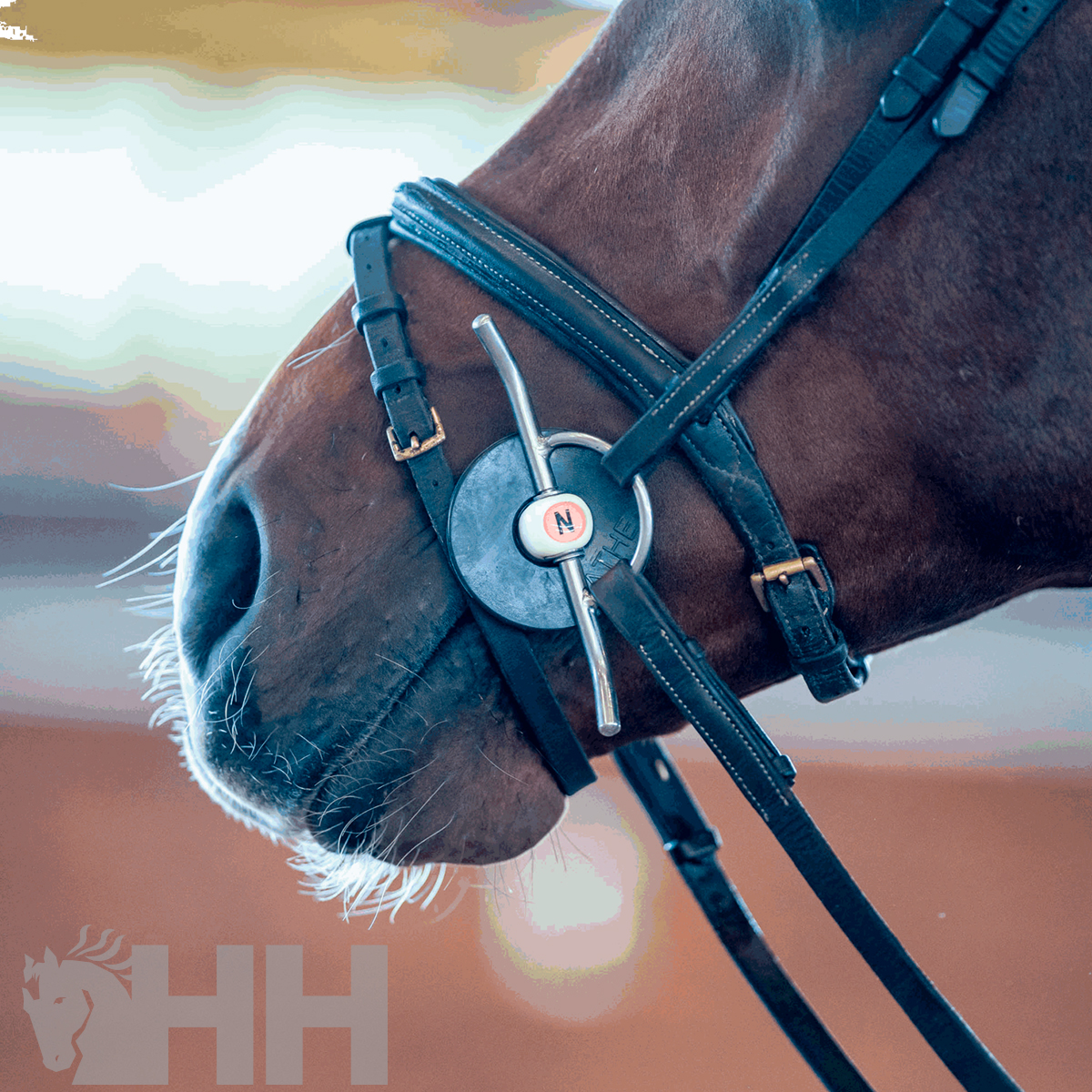 Focinho de cavalo com embocadura de metal e couro preto