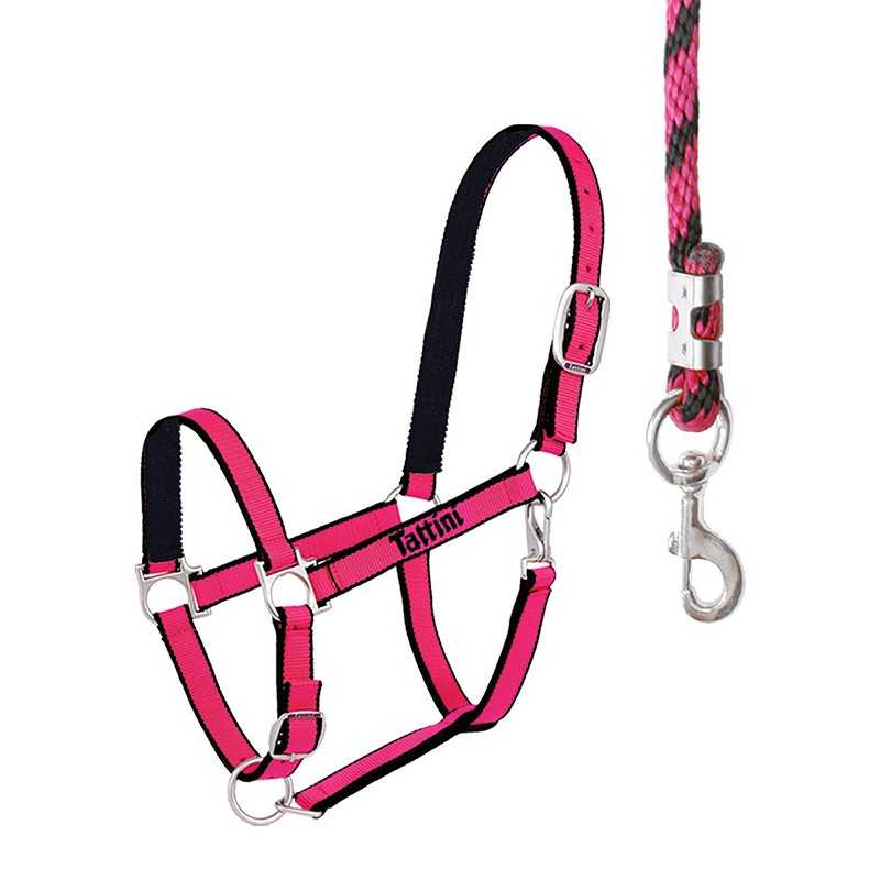 Cabresto e guia para cavalo rosa e preto com fivelas metálicas e texto Tattini