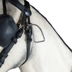 Cavalo branco com arreio preto e estribo metálico