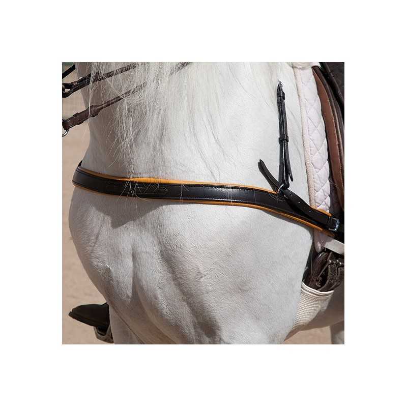 Cavalo branco visto de trás com sela branca e acessórios de couro preto