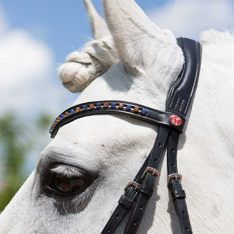 Bridon preto com pedras coloridas numa cabeça de cavalo branco ao ar livre