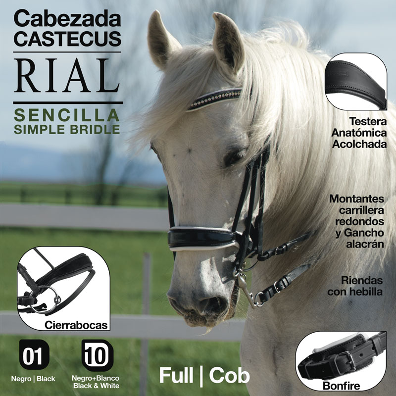Cavalo branco com cabresta preta, textos técnicos sobre o equipamento em fundo ao ar livre