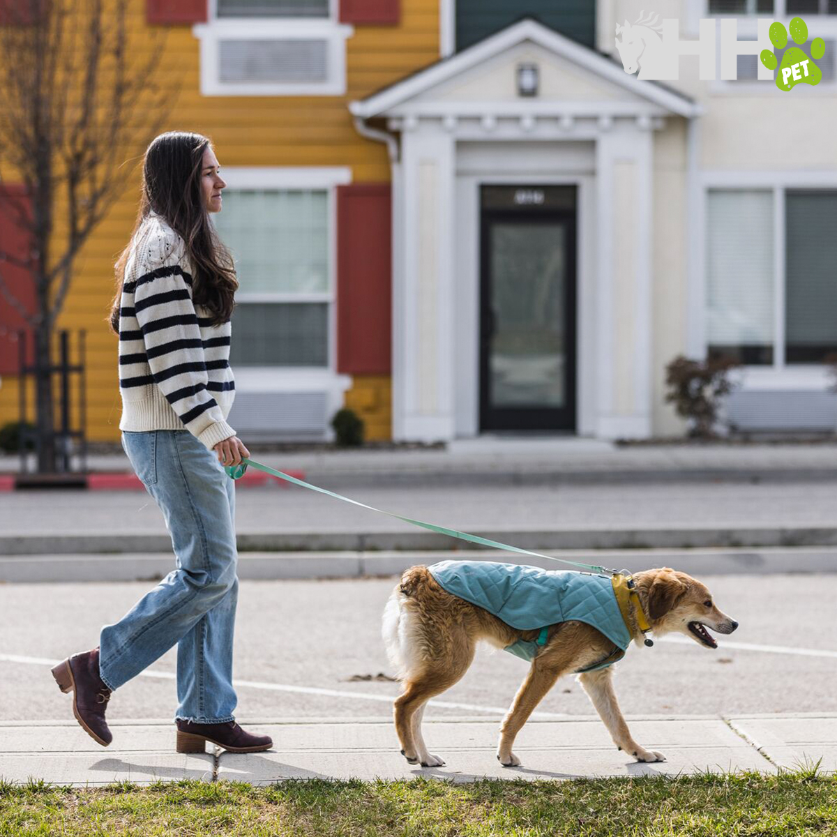 Mulher caminhando com cão vestido com casaco azul numa calçada em área residencial