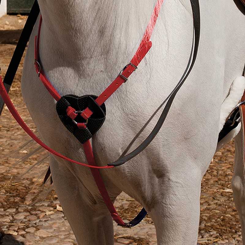 Cavalo branco com arreio vermelho e negro em forma de coração