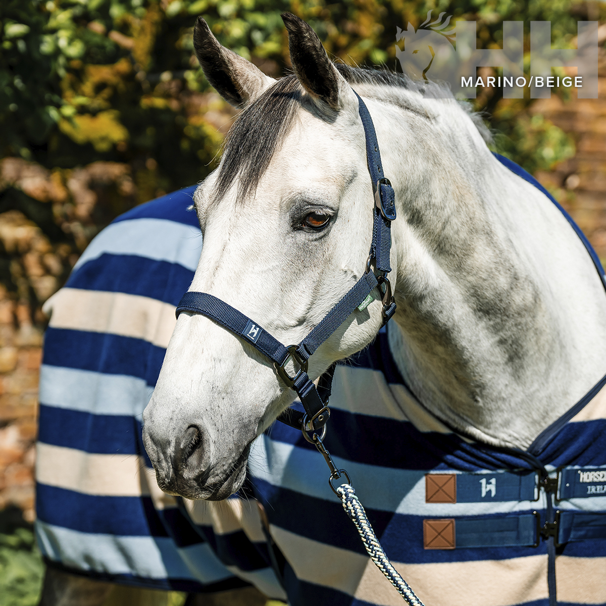 Cavalo branco com pelego azul-marinho e bege e cabresto azul-marinho