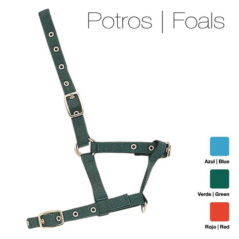 Cabresto verde para potros com ferragens metálicas e opções de cores