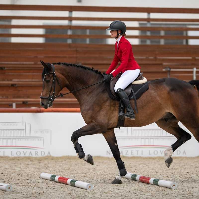 Cavaleira com casaco vermelho monta cavalo castanho em recinto com paus coloridos.