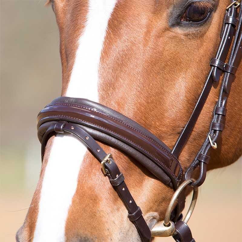 Cabeca de cavalo com rédea de couro castanho escuro