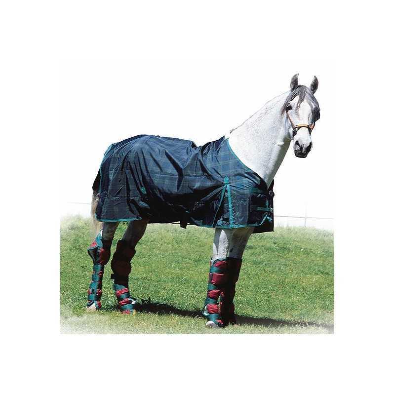 Cavalo cinzento com manta azul e proteções vermelhas nas patas