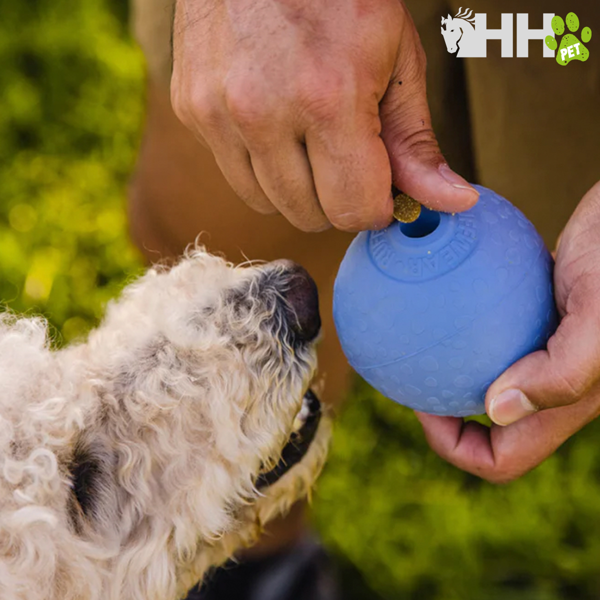 Brinquedo azul de borracha para cão com bolinha e cão branco próximo na relva