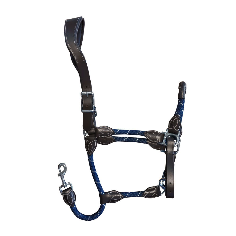 Cabresto para cavalo azul com couro preto e fivela metálica