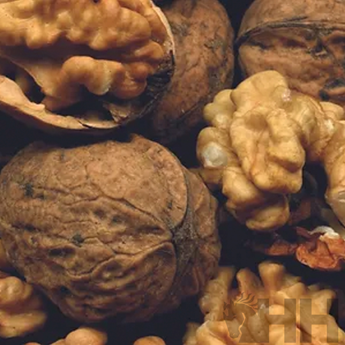 Nozes inteiras e descascadas com casca castanha e semente amarelada texturizada