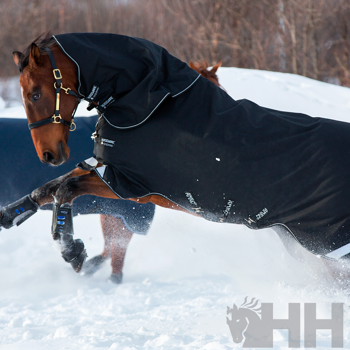 Cavalo com manta preta impermeável na neve com outro cavalo ao fundo