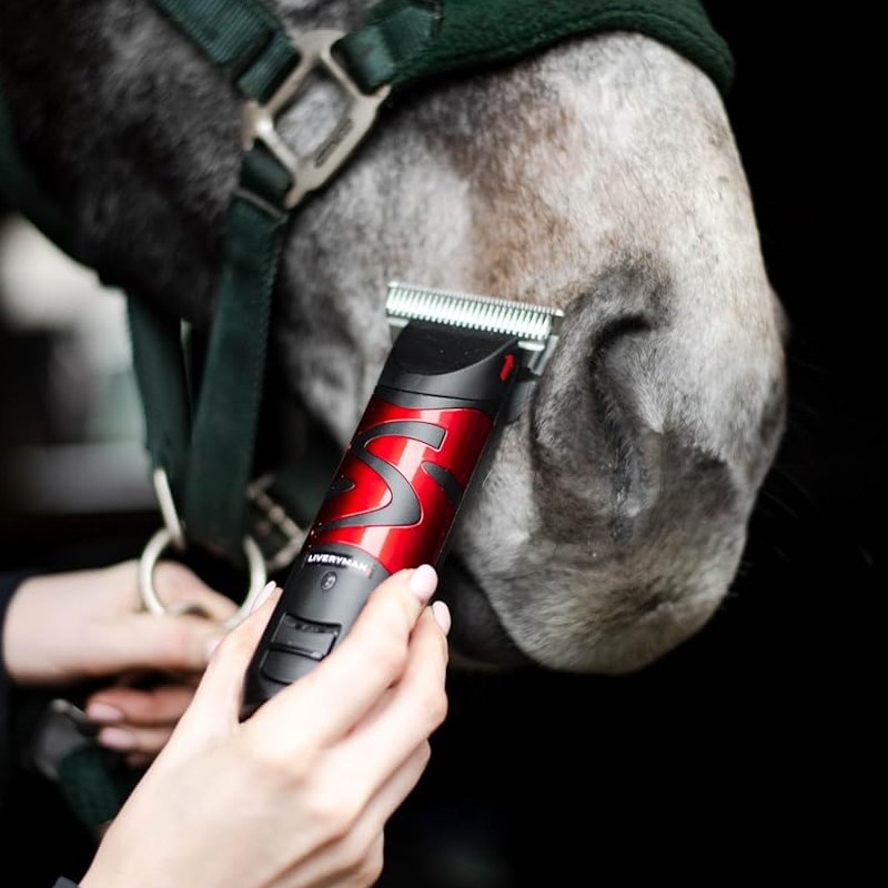 Máquina de tosquiar preta e vermelha junto do focinho de um cavalo cinzento com cabeçada verde