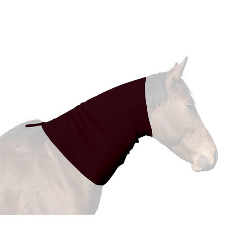 Cavalo branco com proteção de tecido vinho no pescoço e cabeça