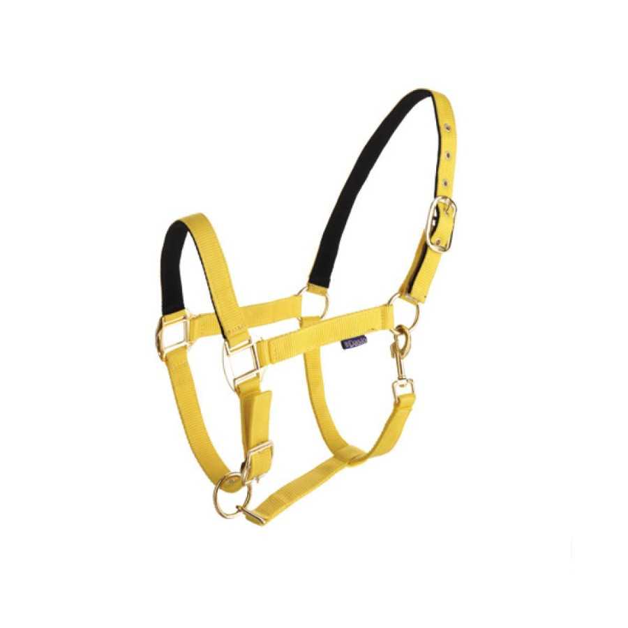 Cabresto amarelo em nylon com ferragens metálicas douradas e forro preto