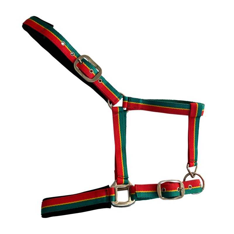 Cabresto colorido em tecido com fivelas metálicas