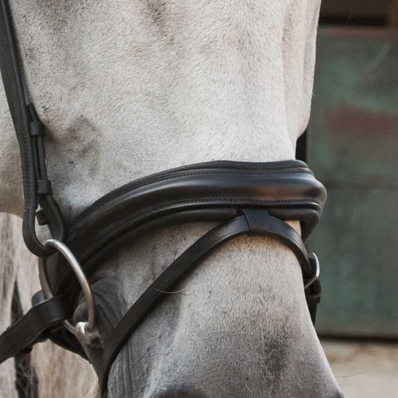 Focinheiro de couro preto em cavalo cinza claro