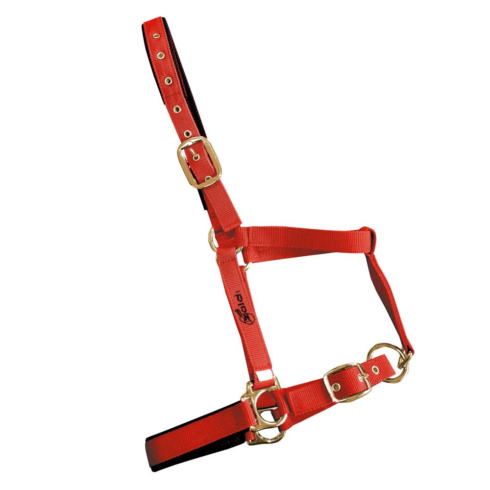 Cabresto para cavalo de nylon vermelho com fivelas metálicas douradas.
