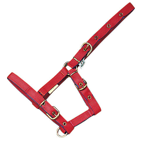 Cabresto de nylon vermelho com fivelas douradas