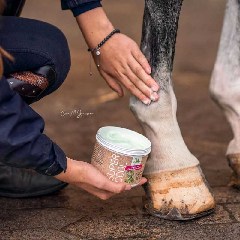 Mão aplicando creme SUPER COOLER num casco de cavalo