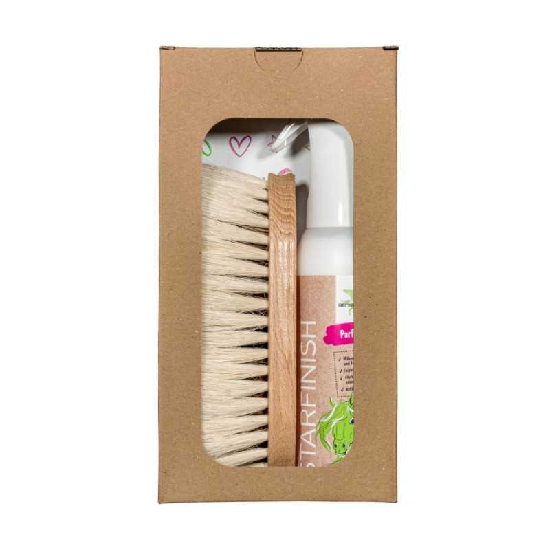 Conjunto de limpeza com escova e spray em embalagem de cartão