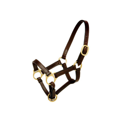 Cabresto castanho em couro com ferragens douradas