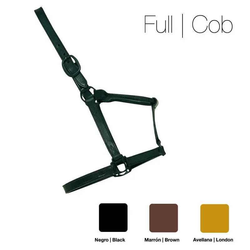 Cabresto de cavalo em pele preta com fivelas metálicas