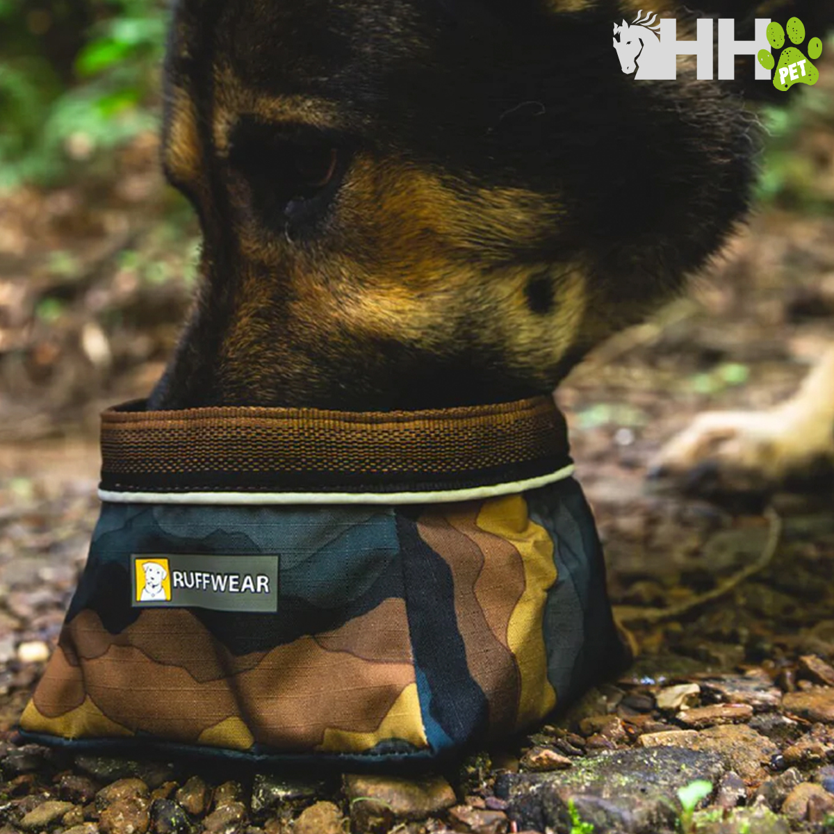 Cão a beber de tigela camuflada RUFFWEAR em ambiente exterior
