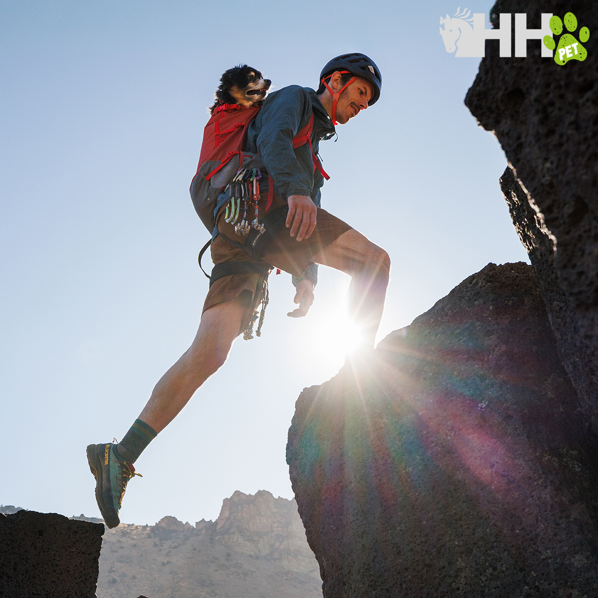 Homem a escalar rocha com cão nas costas e equipamento de escalada
