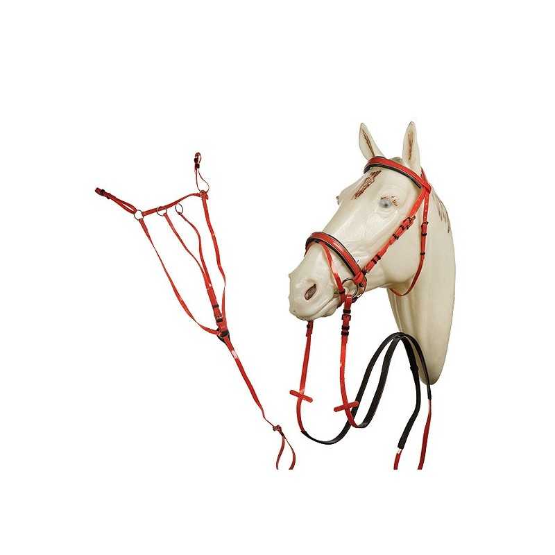 Bridão e cabeçada vermelhos em cabedal numa cabeça de cavalo creme