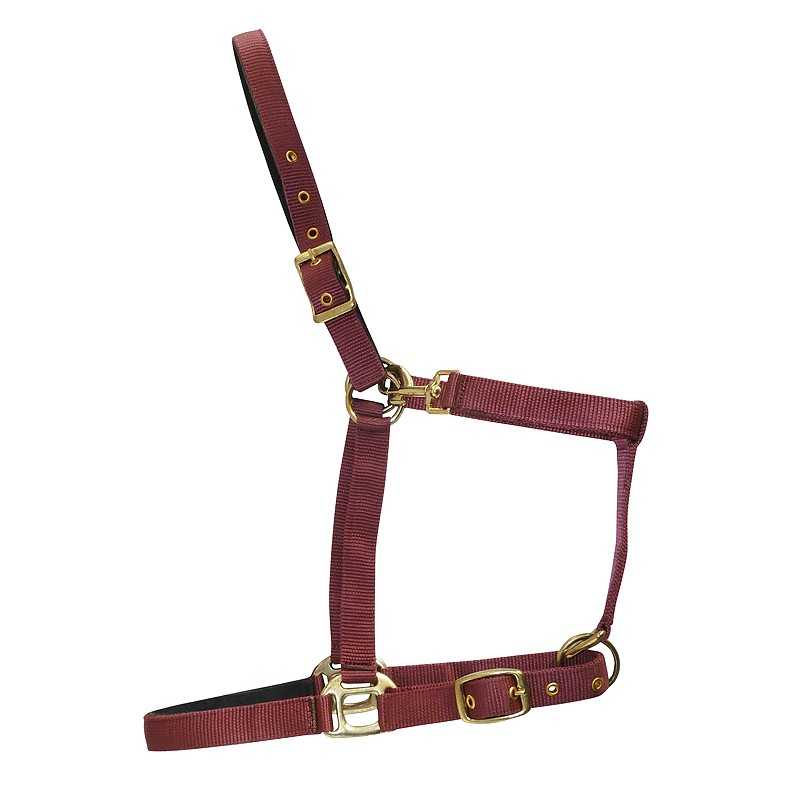 Cabresto vermelho em nylon com fivelas douradas