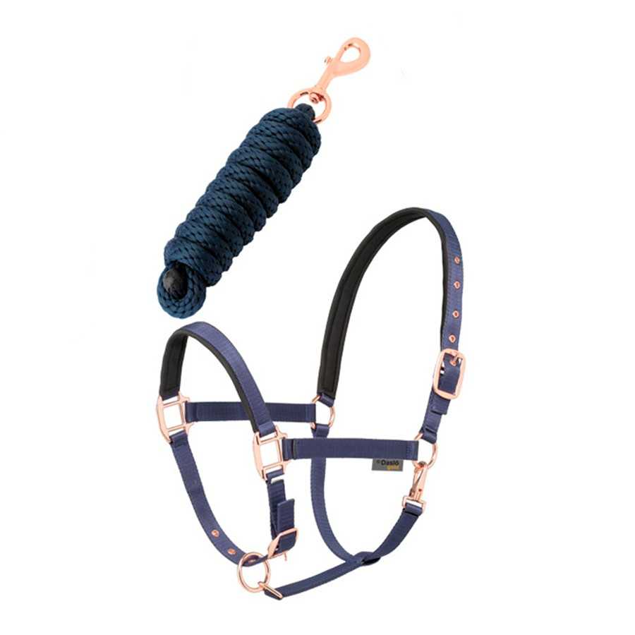Licol e cabresto azul escuro com ferragens cobre e cabo azul