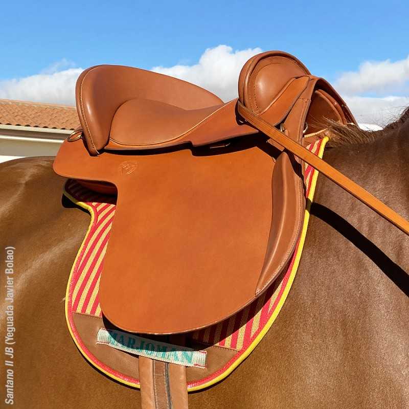 Sela de cavalo de couro castanho sobre cavalo castanho com revestimento riscado vermelho e amarelo ao ar livre